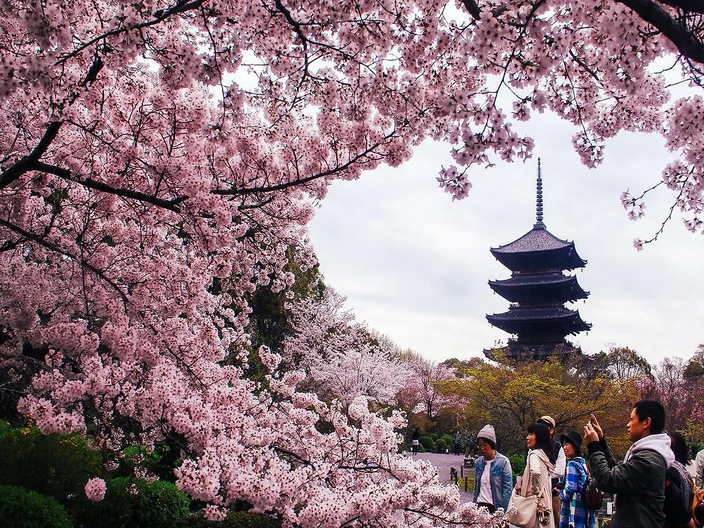 Willa Coto Kyoto Toji 2